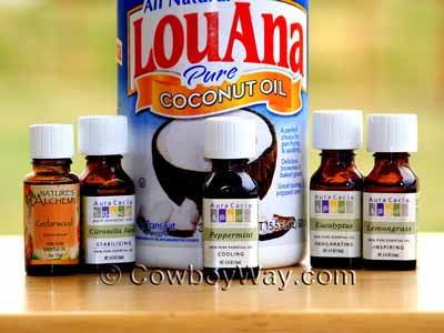 Homemade essential oil horse fly spray