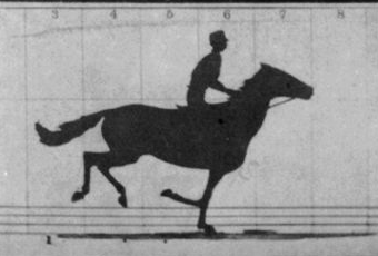 An animation of photos showing a horse at a gallop