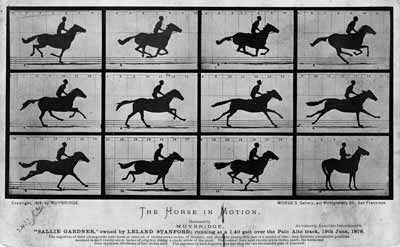A series of black and white photographs showing a galloping horse named Sallie Gardner