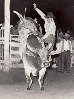 Steve Eggarton and bucking bull Gunsmoke