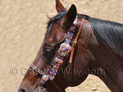 A fancy headstall with bling