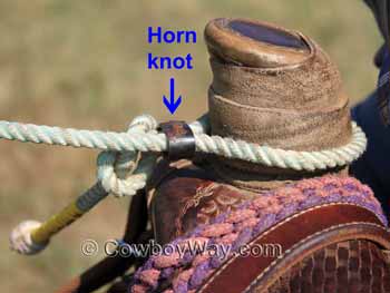 Horn knot