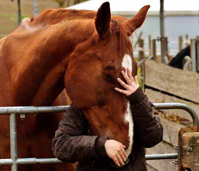 A horse lover hugging a horse