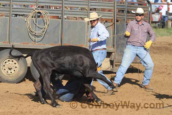Hunn Leather Ranch Rodeo 10th Anniversary - Photo 90