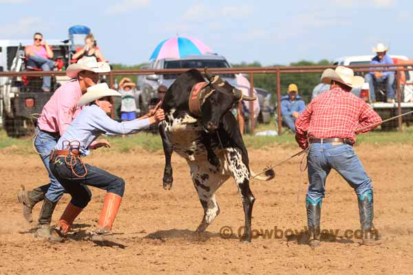 Hunn Leather Ranch Rodeo Photos - Best Of