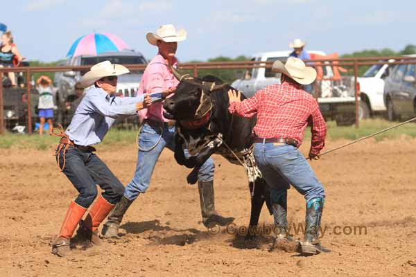 Hunn Leather Ranch Rodeo Photos - Best Of