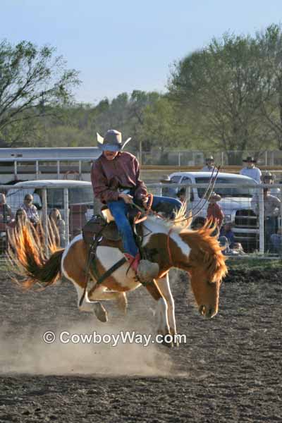 A young bronc rider on a wild pony bronc