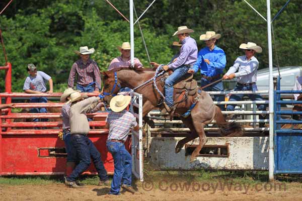 Junior Ranch Bronc Riding, 05-05-12 - Photo 04