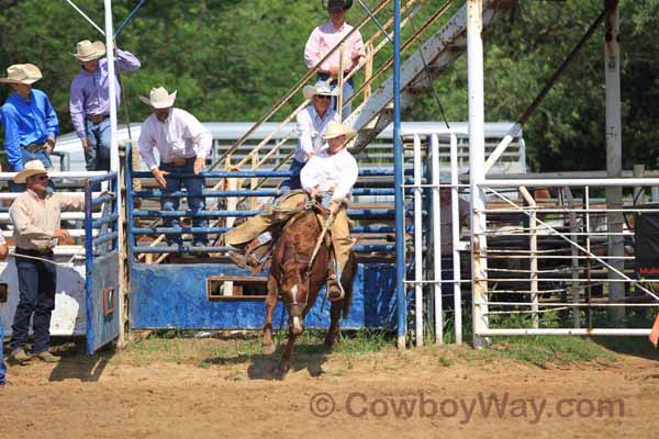 Junior Ranch Bronc Riding, 05-05-12 - Photo 10