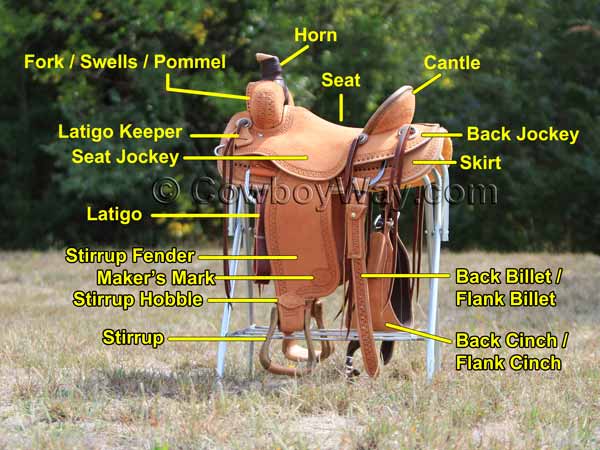 Labeled parts of a Western saddle