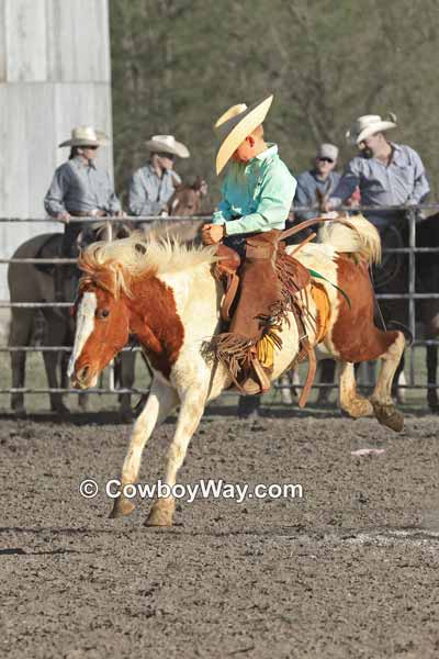 Pony bronc riding