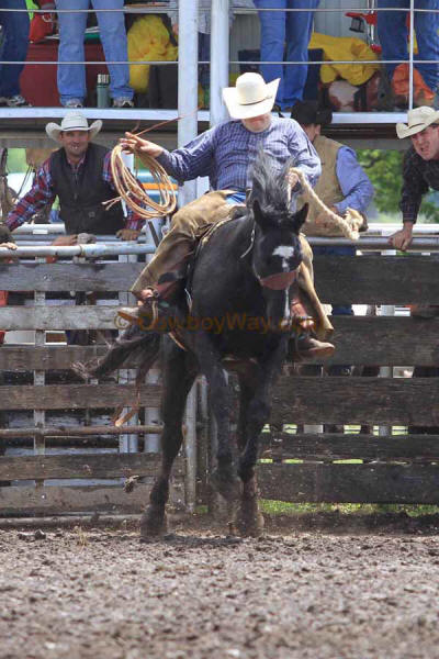 Ranch Bronc Riding, Moline - Photo 12
