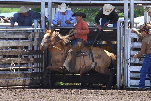 Ranch Bronc Riding, Moline - Photo 23