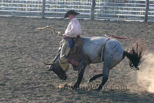 Ranch Rodeo Bronc Riding Pictures