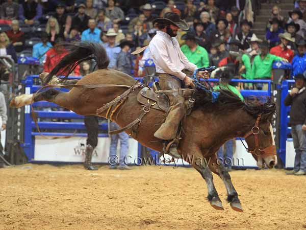 A bronc rider competes in the ranch bronc riding