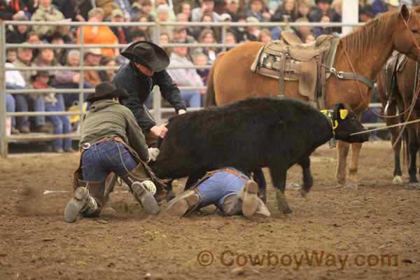 Ranch Rodeo, Equifest of Kansas, 02-11-12 - Photo 08