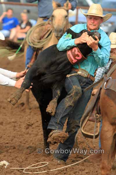 A young cowboy works hard to mug a steer in the mud