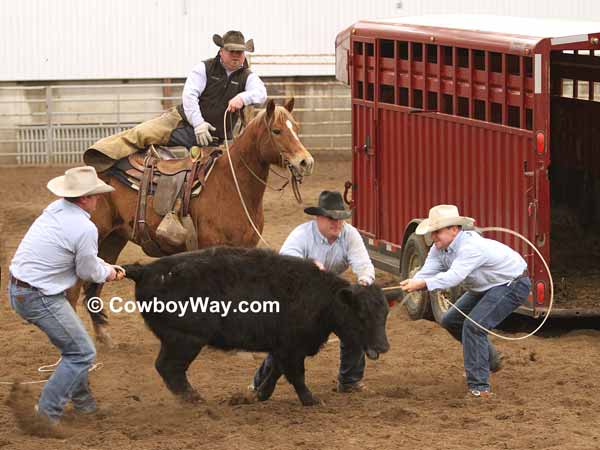 Four cowboys compete in the trailer loading at a ranch rodeo