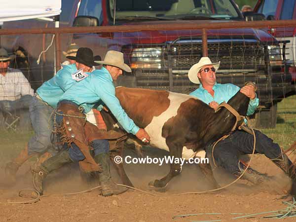 Three team members mug their steer