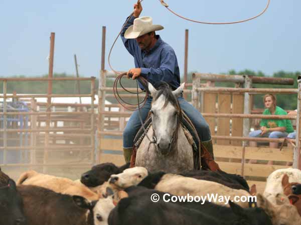 A cowboy ropes in the calf branding