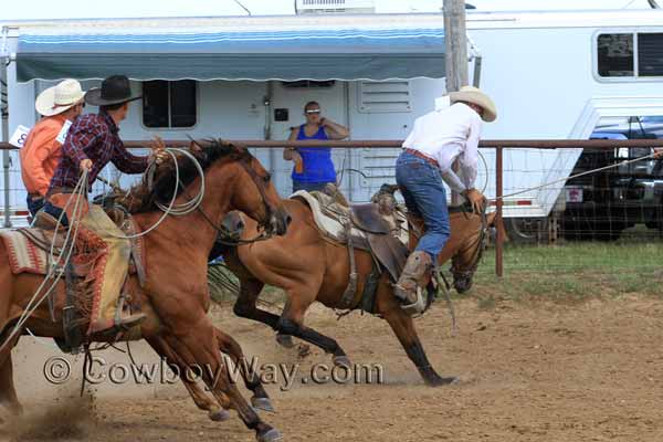 During a ranch rodeo a cowboy slides up his horse's neck