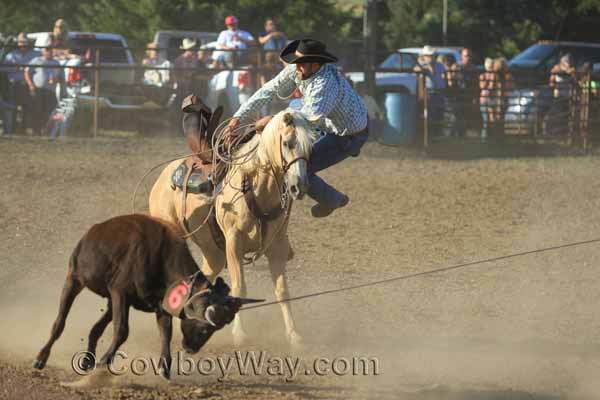A cowboy jumps off of a palomino horse to help his teammates