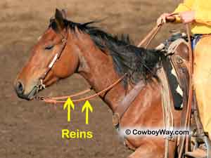 Split reins