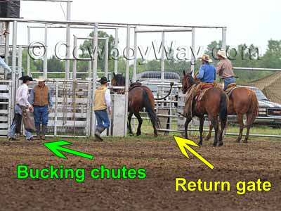The rodeo return gate and a bronc