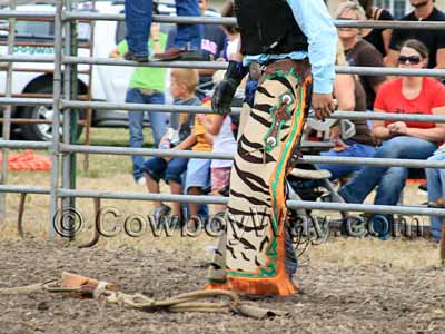 Tiger-striped rodeo chaps
