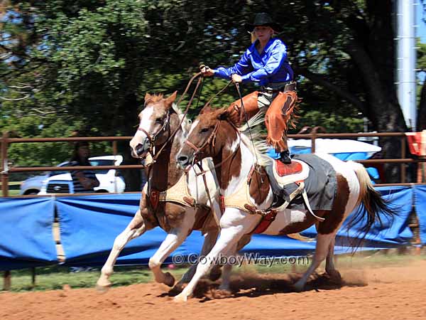 Roman Riding performed by a trick rider