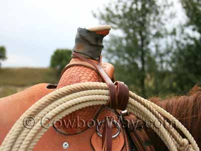 A leather rope strap attached to a saddle