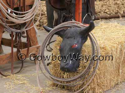A plastic steer head roping dummy