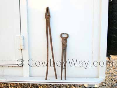 Blacksmith tongs and hoof nippers