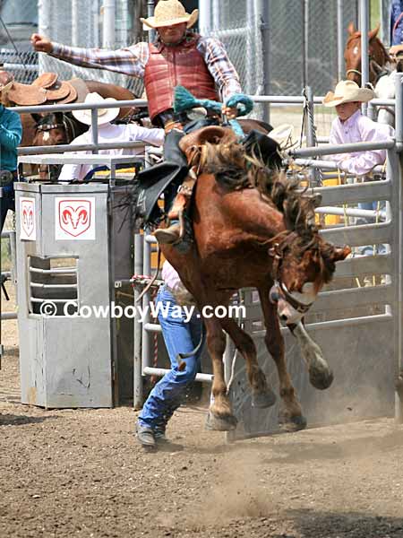 A high-jumping bronc with a saddle bronc rider on board