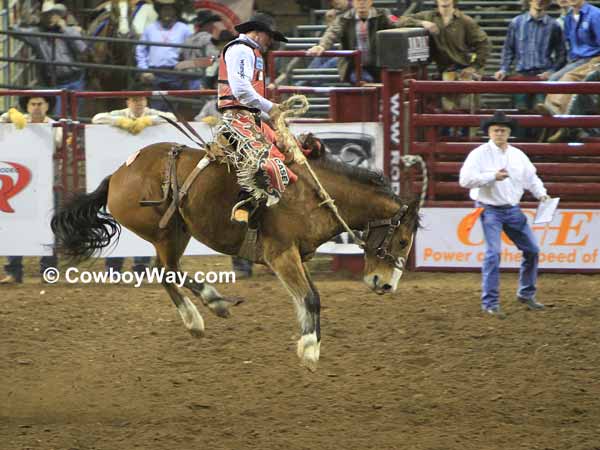 Saddle Bronc Riding Pictures, Page 1