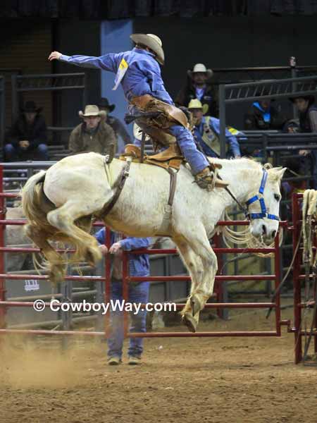 Wild action as a gray saddle broc bucks high into the air