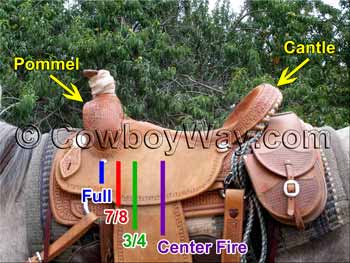 Saddle riggings illustration