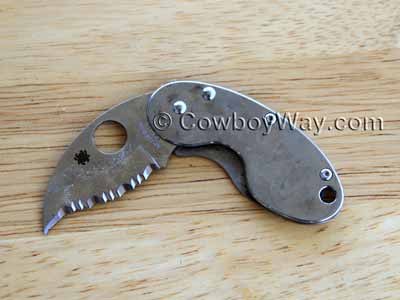 Serrated clip knife