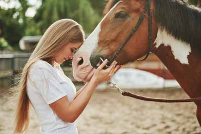 A Paint horse with a young lady