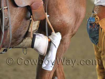 Bell boots and splint boots attached to a stirrup