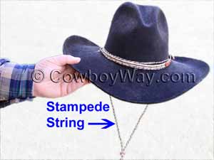A stampede string