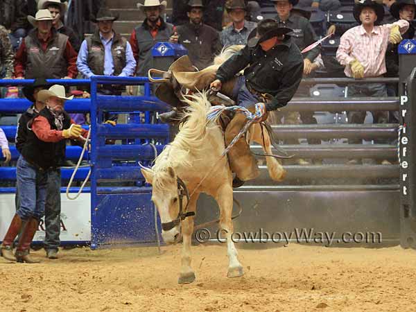 Kyle McCord appeard to be getting bucked off