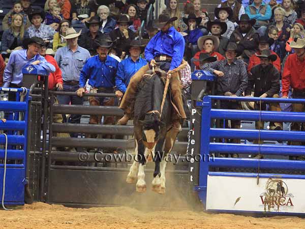 Alan Rabel rides a bronc for Swenson Land and Cattle
