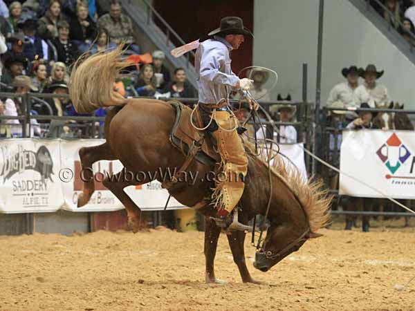 A rider rides a bucking horse in a ranch rodeo