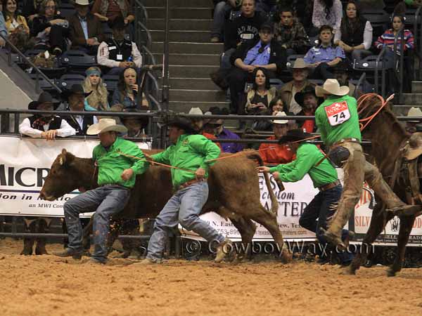 Ranch rodeo team members rope and try to control a cow