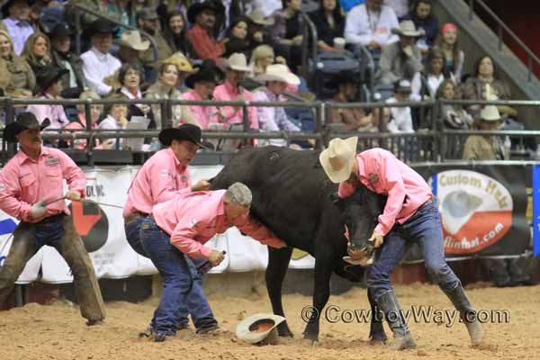 Davison and Sons Cattle Co. in the wild cow milking, WRCA Finals