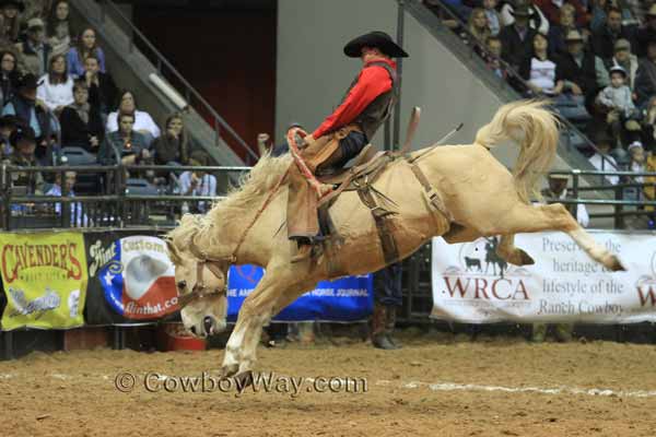Ty Swiler from Beachner Brothers Livestock rides a ranch bronc