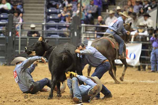 Ranch Rodeo Finals, WRCA, 11-08-14 - Photo 21