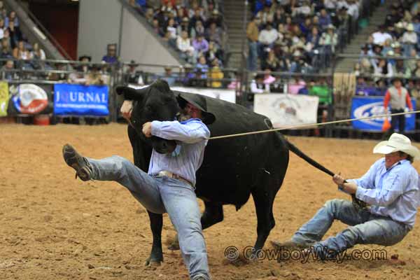 Ranch Rodeo Finals, WRCA, 11-08-14 - Photo 25