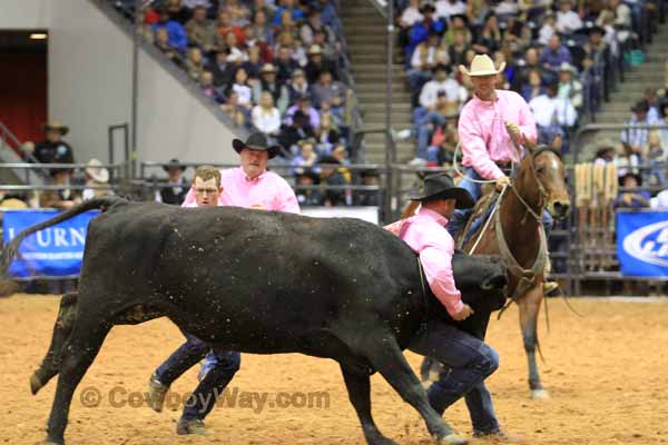 Ranch Rodeo Finals, WRCA, 11-08-14 - Photo 34